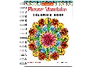 1001248007.webp