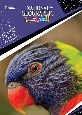 1001251249.webp