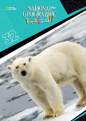 1001251254.webp