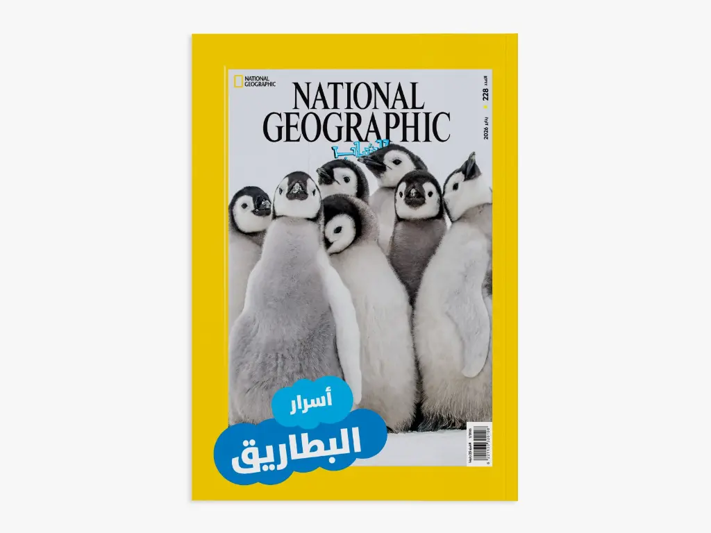1001273996.webp