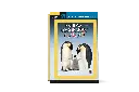 1001275268.webp
