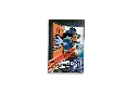 1001247004.webp