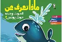 1001247024.webp