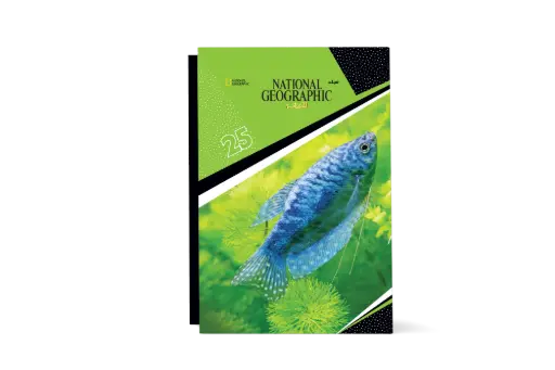 [88960025] مجلد ناشيونال رقم25