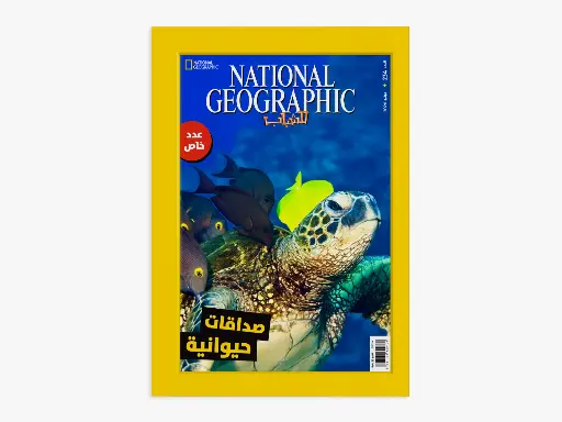 [88920234] national geographic magazine - 234